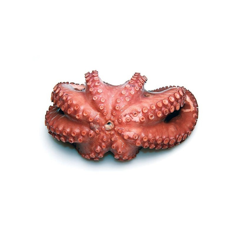 Polpo Cotto Intero T4 2kg