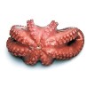 Polpo Cotto Intero T4 2kg