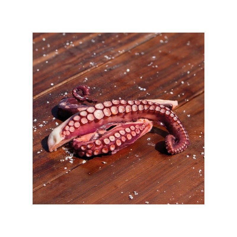 Tentacolo di Polpo Precotto T3 1kg