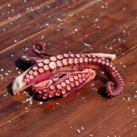 Tentacolo di Polpo Precotto T3 1kg