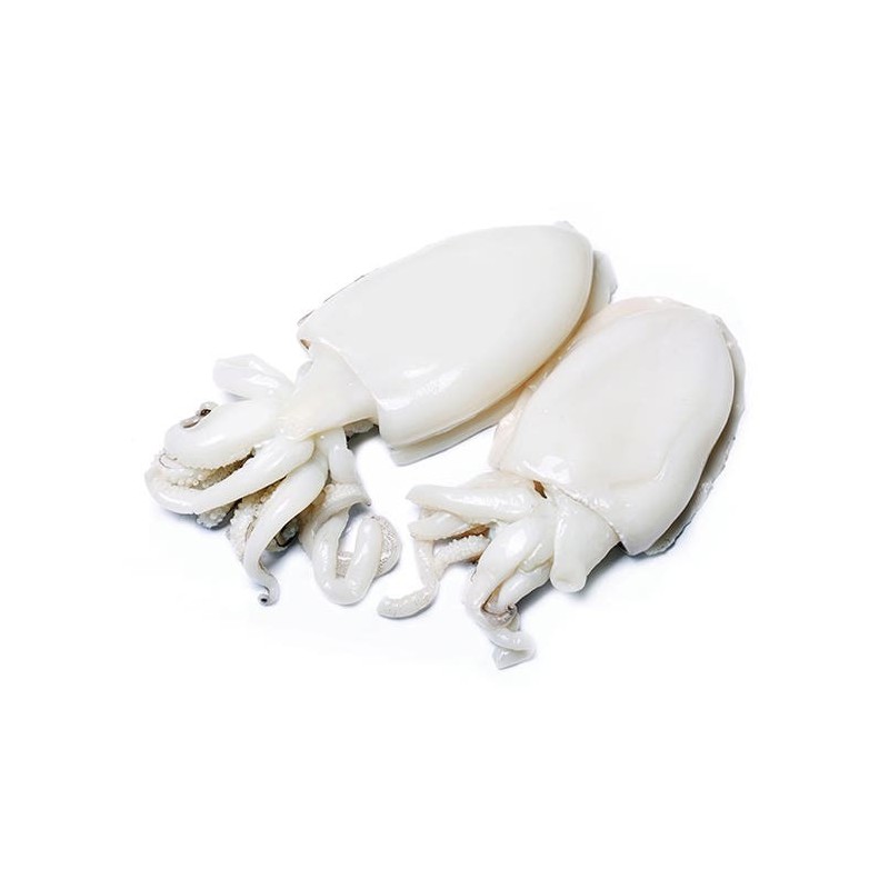 Seppia Pulita XL Formato 3 kg (20 pezzi)