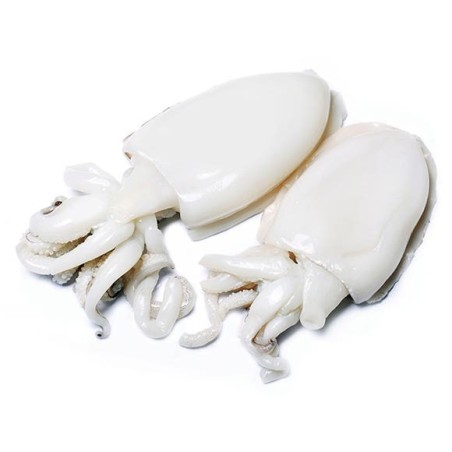 Seppia Pulita XL Formato 3 kg (20 pezzi)