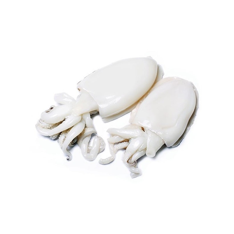Seppia Pulita XXL Formato 3 kg (10 pezzi)