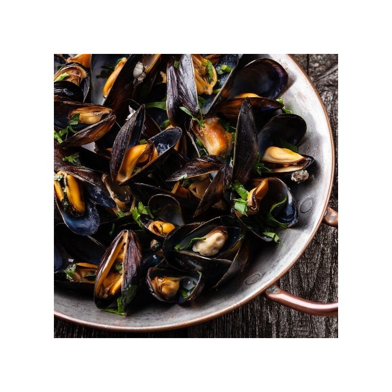 Cozze "mejillones" Galiziana Selezione Formato 2 kg circa - in rete