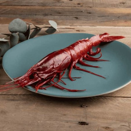 Gambero Rosso Atlantico XL (Carabinero) Formato 1 kg - 8/9 pezzi